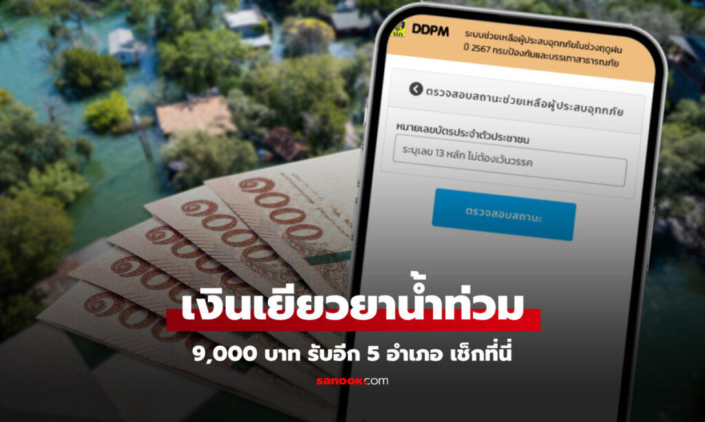 ddpm ตรวจสอบสถานะ 2567